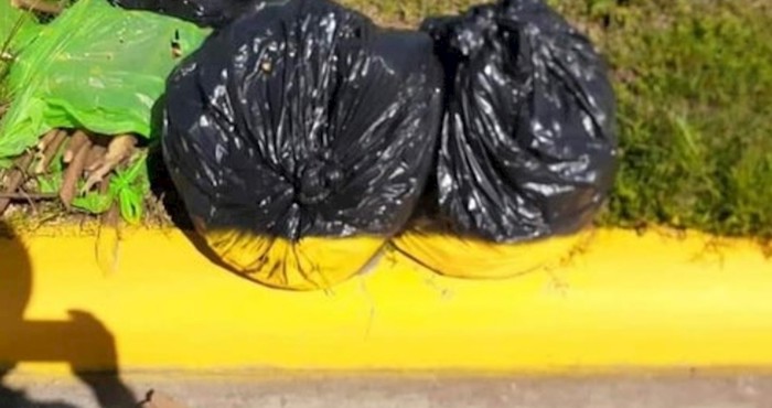 11 ljudi koji su uložili apsolutni minimum truda na svom poslu