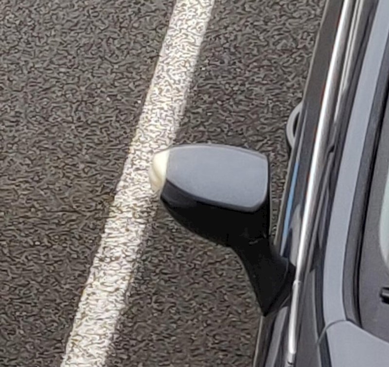 Ovo se tako savršeno poklopilo da smo mislili da je netko obojao ovaj retrovizor