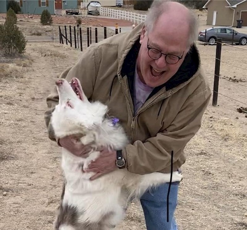 Tata se bojao da ga pas neće prepoznati nakon godinu dana razdvojenosti