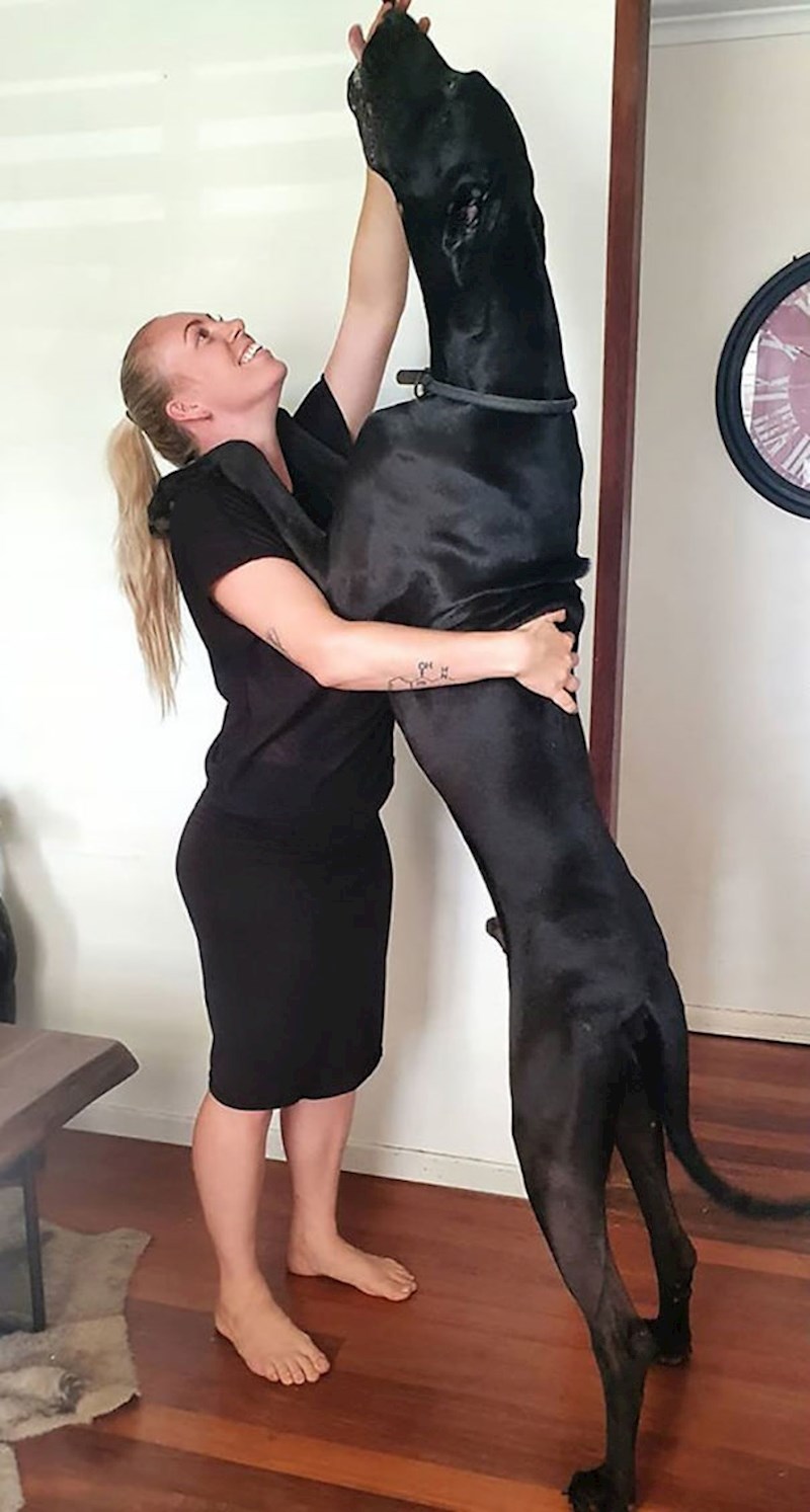 Tko je veliki dečko?