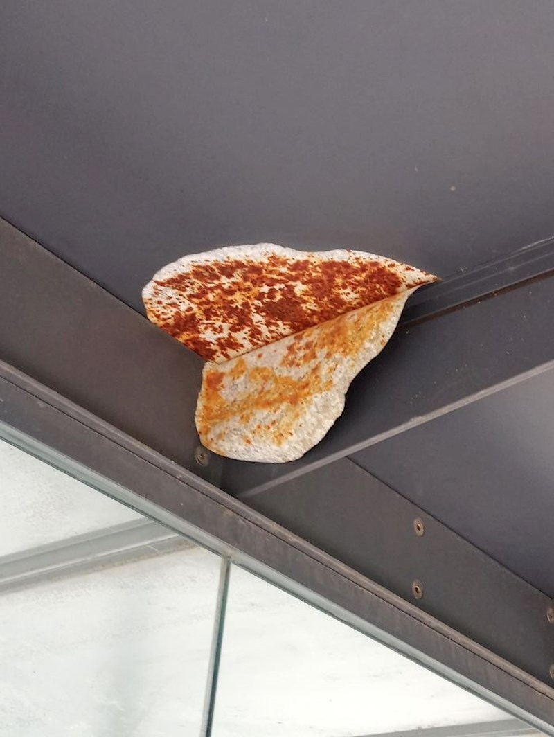 Zahrđali dio koji izgeda kao slasna tortilja