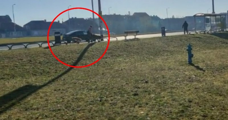 Scena iz centra Zagreba neke šokirala, neke oduševila: pogledajte koga je djevojka vodila na uzici