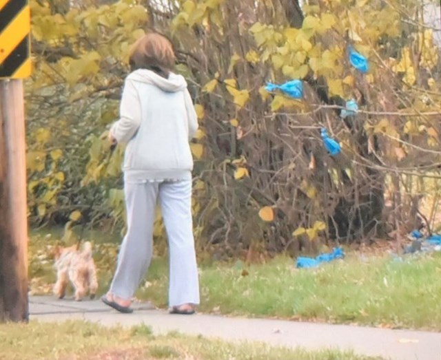 Žena svako jutro šeta psa i baca vrećice s izmetom na isto stablo