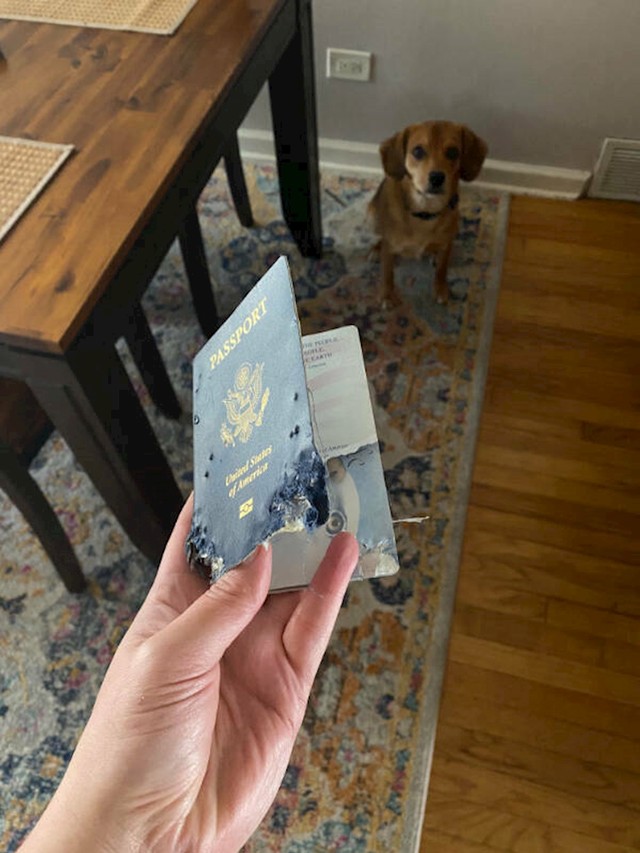Sutra putuju