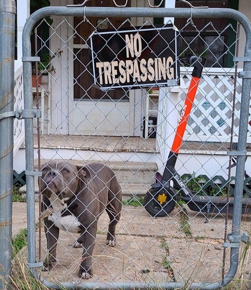 Radi u tvrtki koja iznajmljuje električne romobile, došao je po jednog kod klijenta