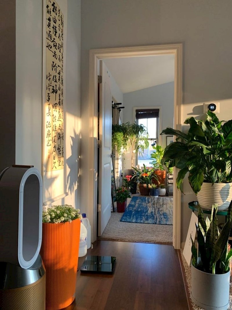 Primjećuje li se koliko ovaj dečko voli biljke