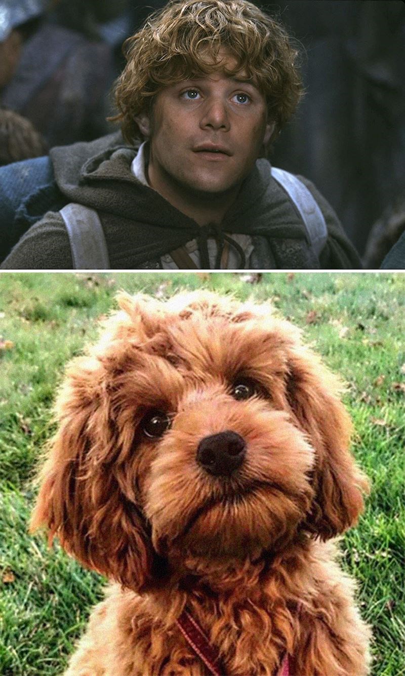 3. Samwise Gamgee