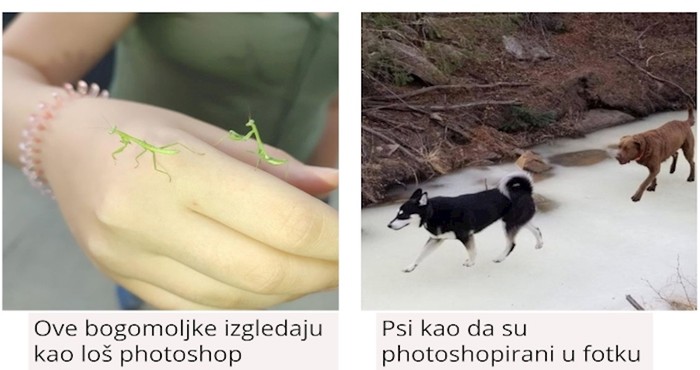Fotke koje izgledaju kao da su photoshopirane, a niti jedna nije