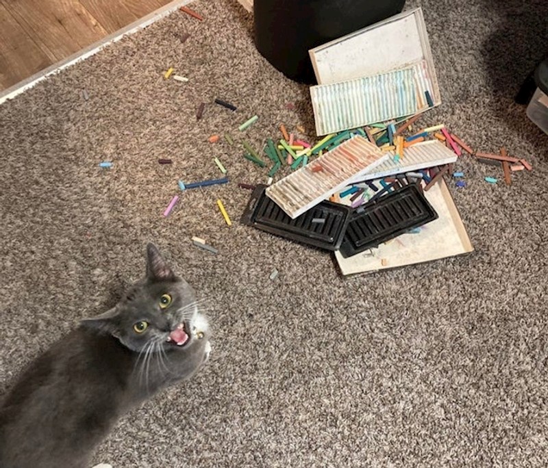 Ovaj prizor me dočekao kad sam došla s posla