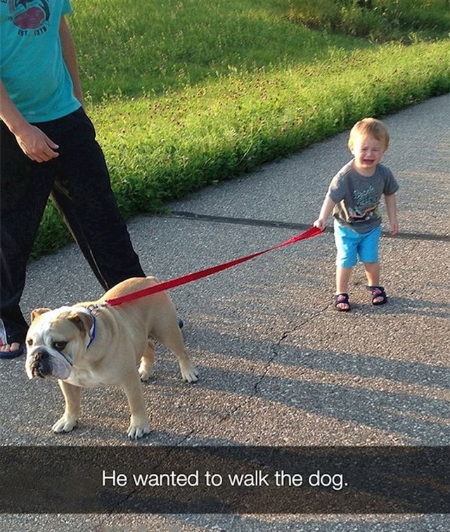 Želio je šetati psa