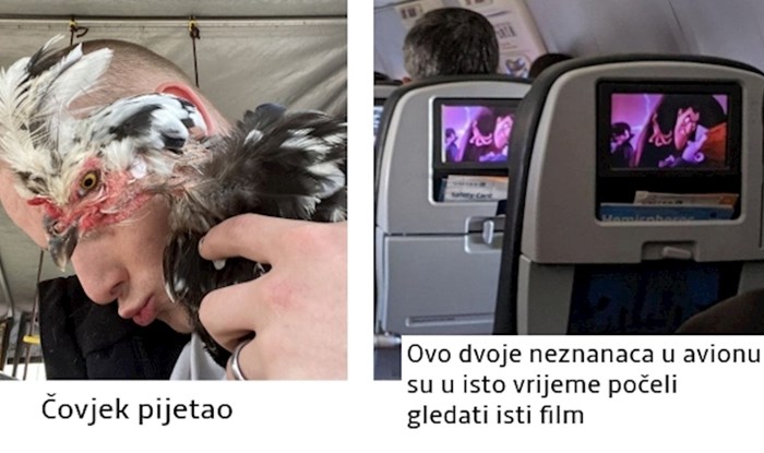 15 fotki u kojima se sve savršeno poklopilo