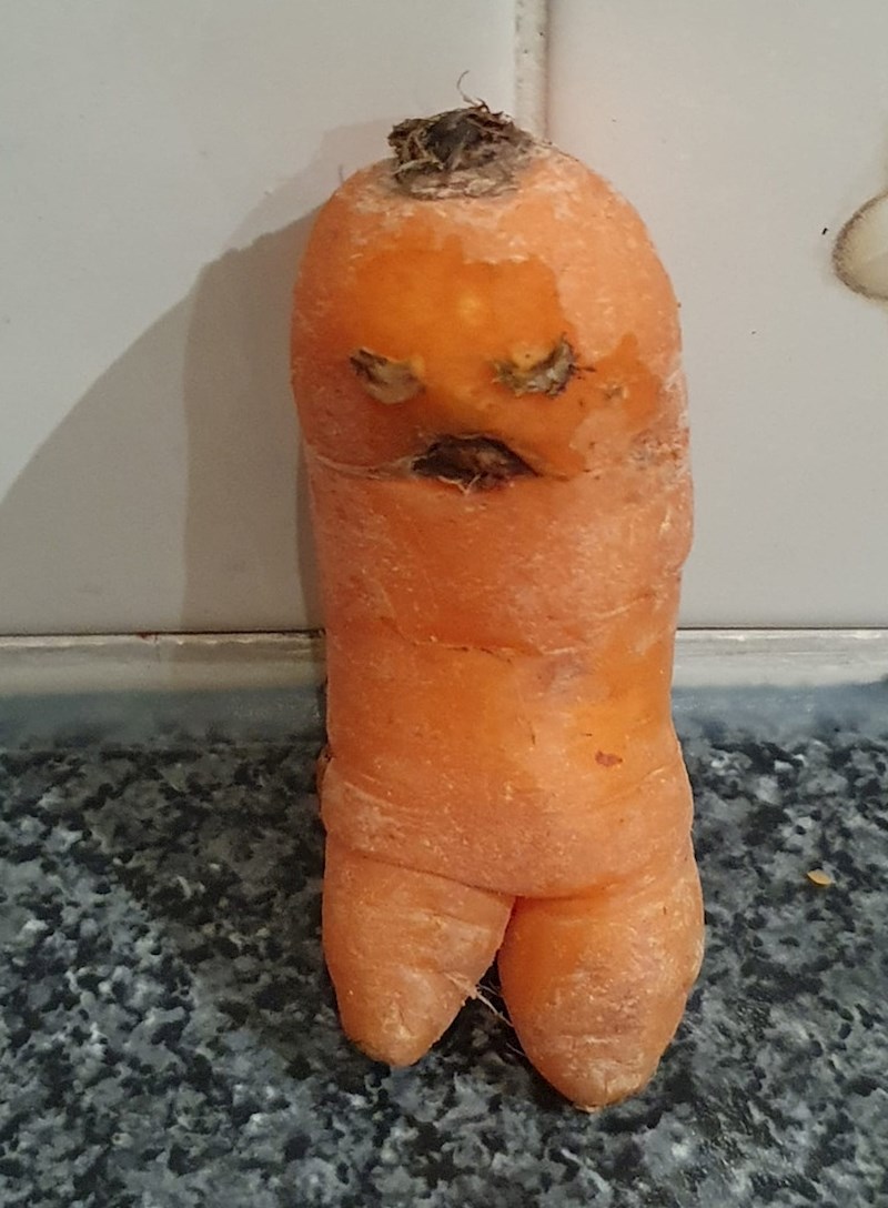 Mrkva koja izgleda kao moj tata kad bi došao s roditeljskog sastanka