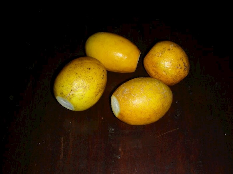 5. Vrlo često su limuni koji idu u pića (estice, coca cola, mineralna voda) strašno prljavi