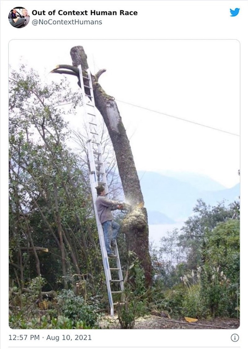 Super ideja, samo tako nastavi!