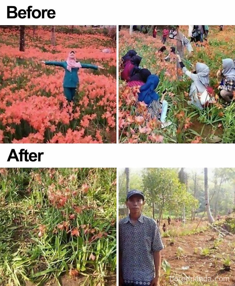 Kako Instagram uništava prirodu