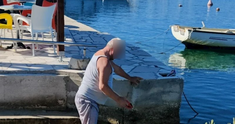 Fejsom kruži fotka Dalmatinca koji je pronašao način kako prošetati psa bez da napravi korak