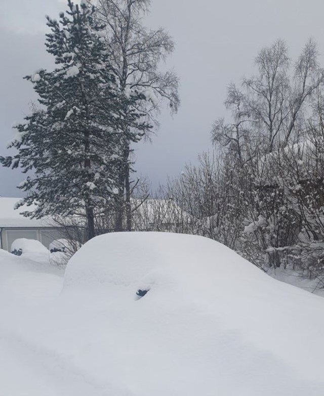 Živim u Norveškoj, ovako je skoro svako jutro kad pada snijeg