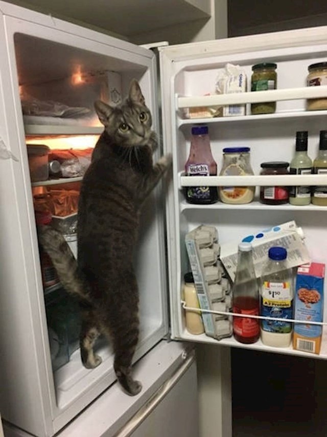 14.