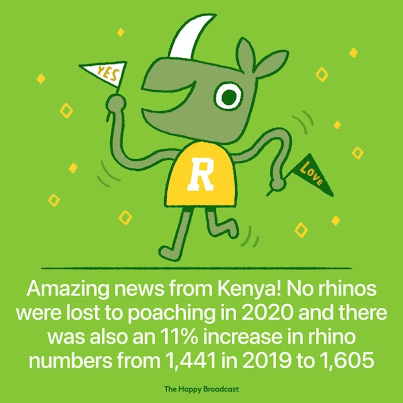 U 2020. niti jedan nosorog nije ubijen u Keniji od strane krivolovaca!