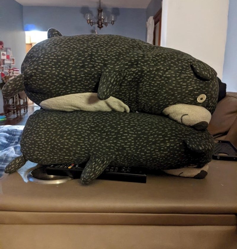 Suprug se naljutio na mene i napravio pregradu između nas