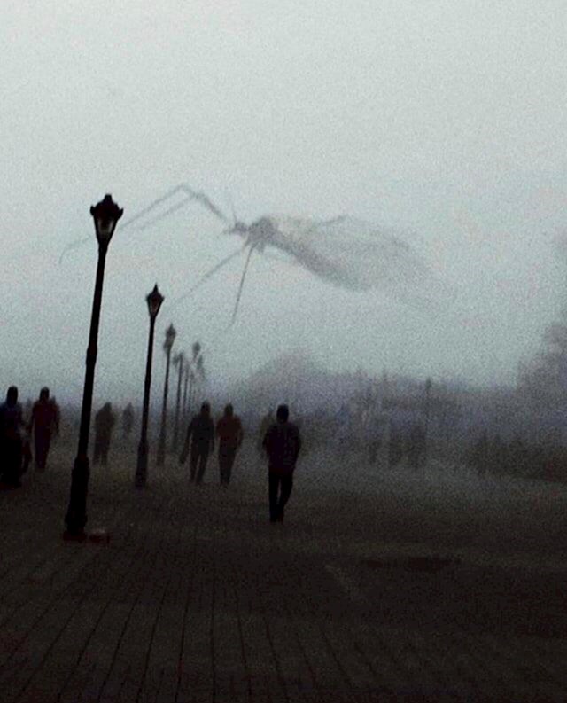 Nije kraj svijeta, komarac je letio ispred aparata točno u trenutku nastanka slike