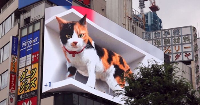 U Tokiju se upravo dogodila budućnost oglašavanja, milijuni u šoku gledaju ovaj oglas s mačkom