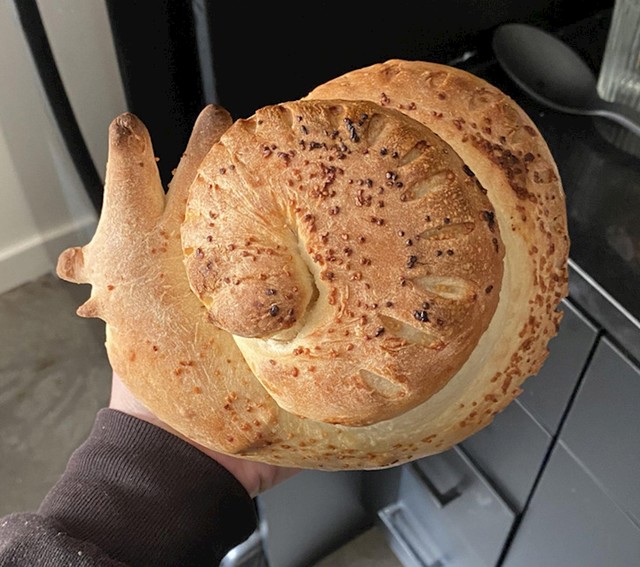 Kruh-puž
