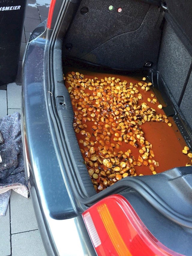 Kad nosiš ručak od roditelja u prtljažniku