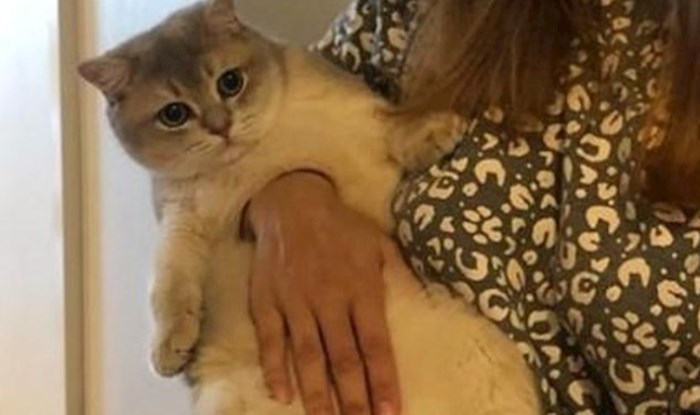 12 fotki na kojima ćete tek na drugi pogled shvatiti što se zapravo događa