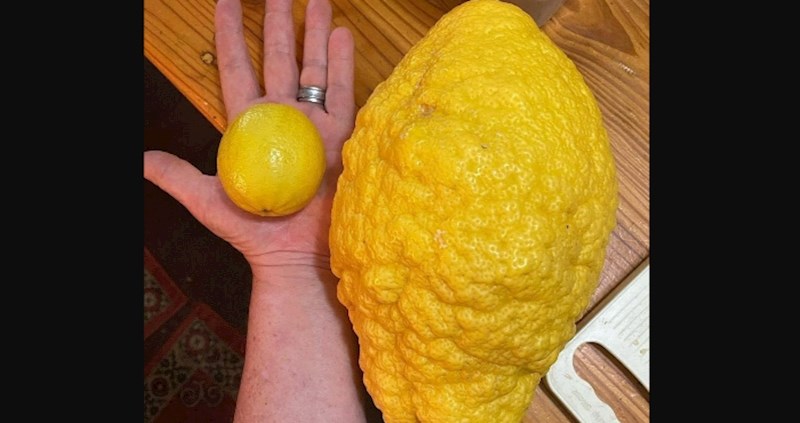 10 prekul stvari koje se definitivno ne viđaju svaki dan