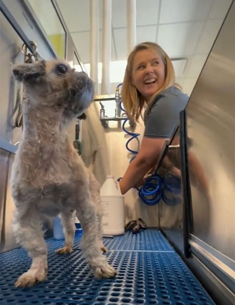 Ovo je njegova prva kupka nakon nekoliko godina