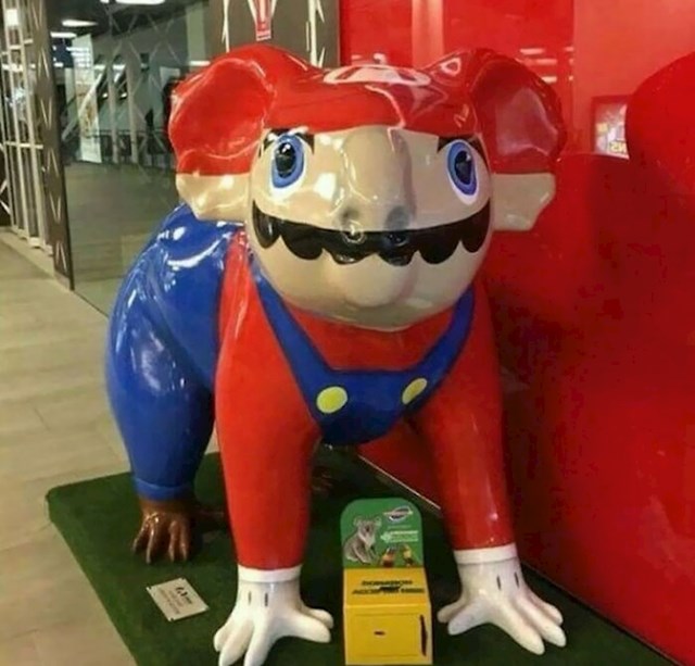 U Australiji, Super Mario koala