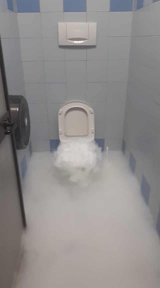Netko joj je rekao da će suhi led očistiti WC