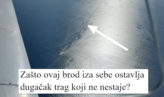 12 ljudi koji su vidjeli nešto neobjašnjivo, a onda je misterij riješila ekipa s interneta
