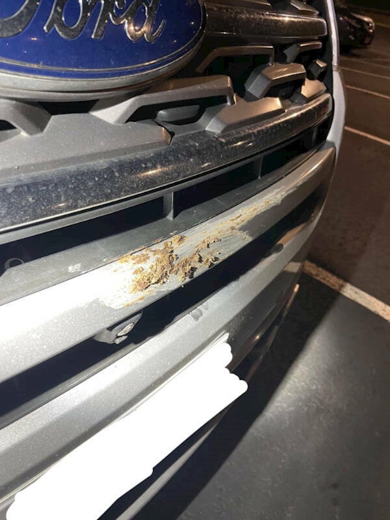 Netko mu je razmazao pseći izmet po autu