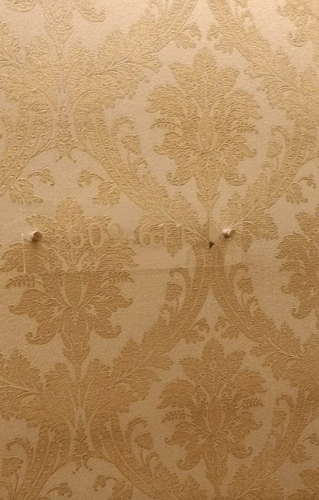 Krasan hotel, pola dana provedeš dok pronađeš koji si kat i gdje je tvoja soba. Vidite li vi ove brojeve?