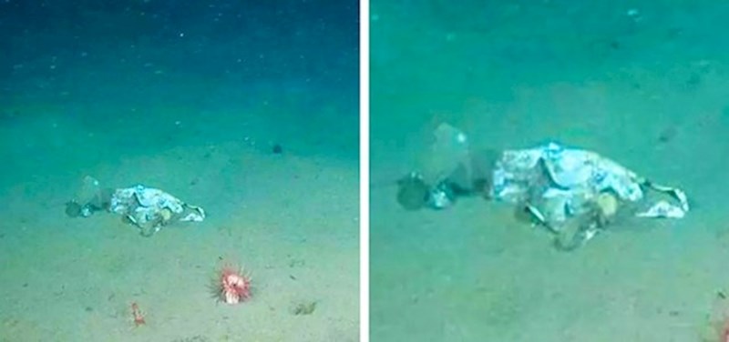 Na dnu Marijanske brazde pronašli su... plastičnu vrećicu. :(