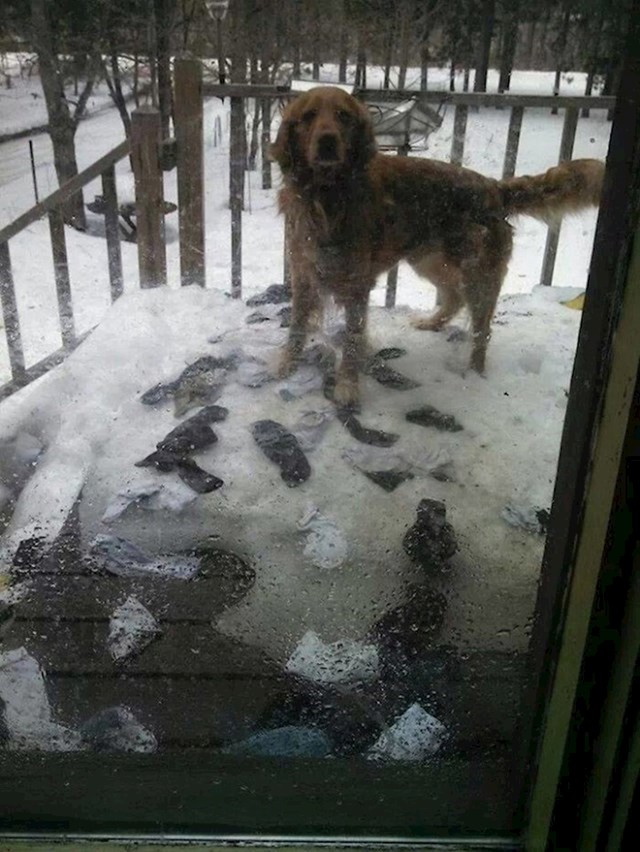 "Naš pas je izašao van i odlučio oprati naše čarape u snijegu."