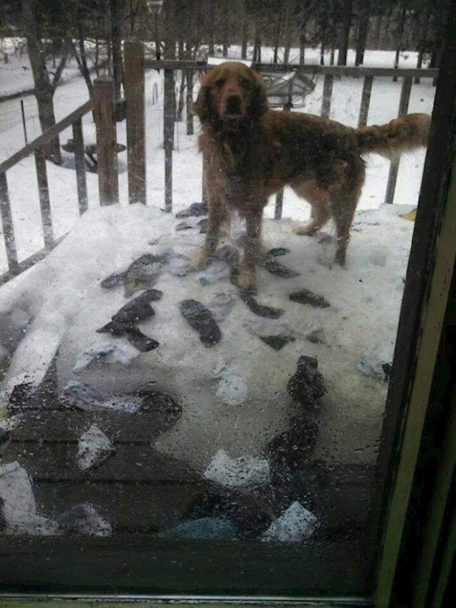 "Naš pas je izašao van i odlučio oprati naše čarape u snijegu."