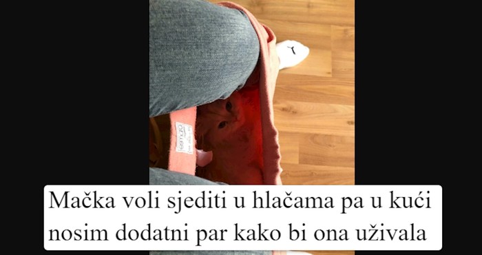 15 ekstra razmaženih mačaka koji žive život bolji od većine ljudi