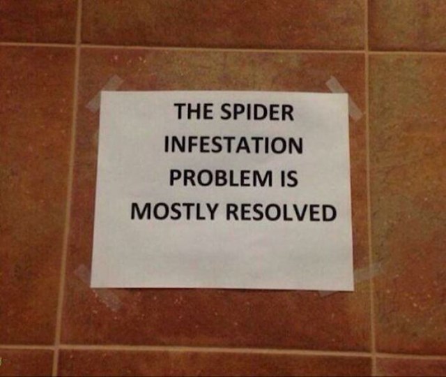 "Problem s paucima je UGLAVNOM riješen". Sigurno će ih zvati opet :D