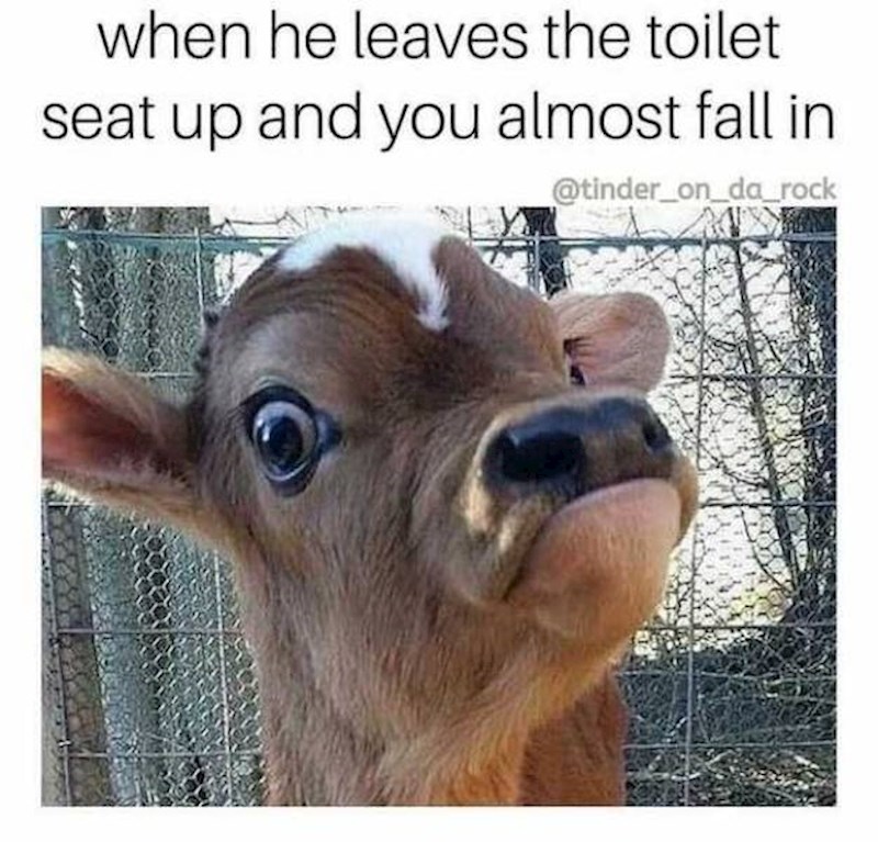 Ja kad mi dečko ostavi podignutu dasku pa skoro upadnem u školjku