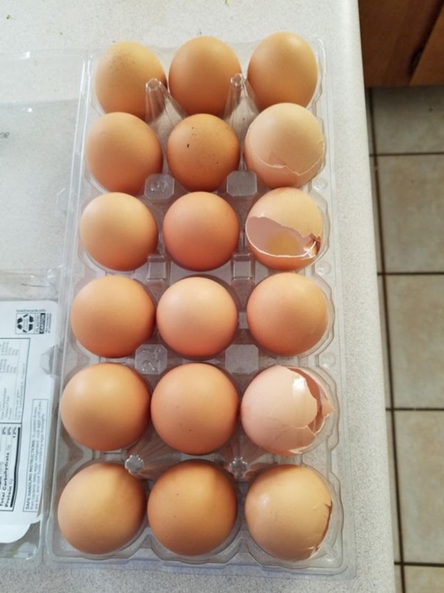 Moja supruga vraća ljuske jaja s cijelim jajima natrag u hladnjak