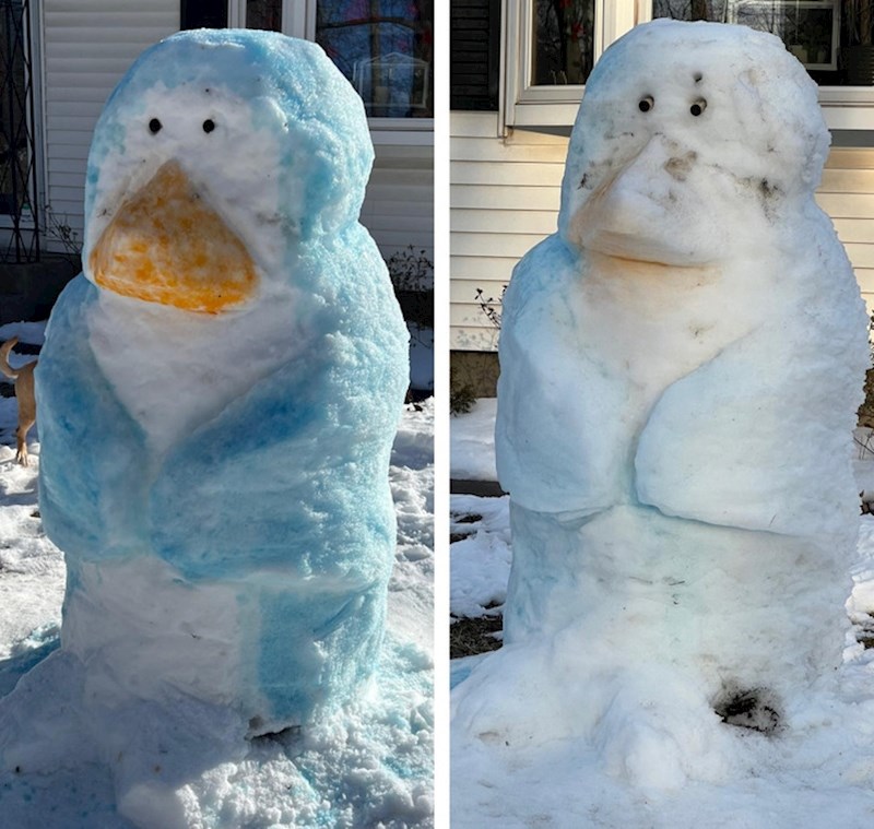 Cijeli vikend smo radili ovog pingvina da bi nakon tri sata izgledao ovako