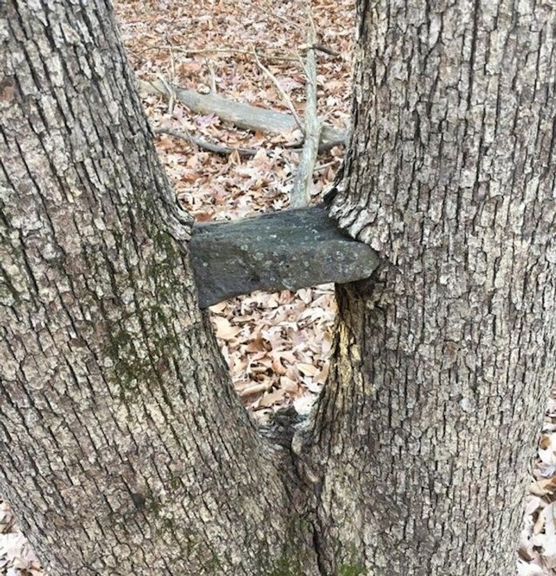 "Sestra i ja smo stavili ovaj kamen između ove dvije grane prije deset godina"