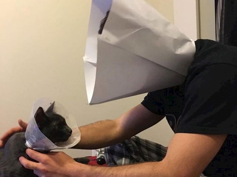 Ovaj dečko je napravio i sebi zaštitu od češanja kako se njegova mačka ne bi osjećala glupo.