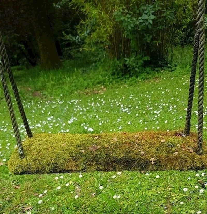 Ovu ljuljačku jako dugo nitko nije koristio. Prekrila ju je mahovina.