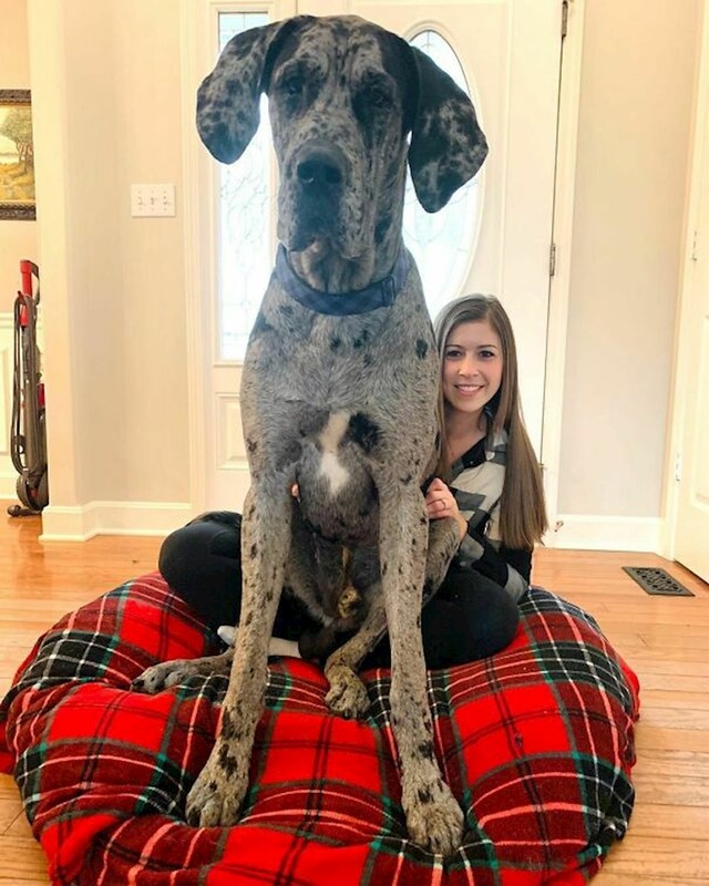 Wow!