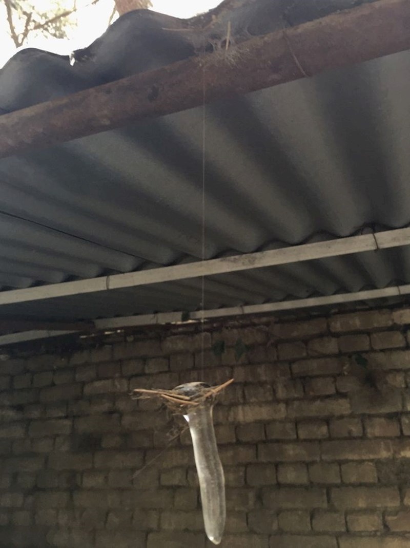 Ne, ovaj komad leda ne prkosi gravitaciji već visi na tankov paukovoj niti