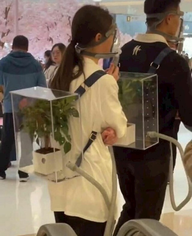 Je li ovo naša budućnost?